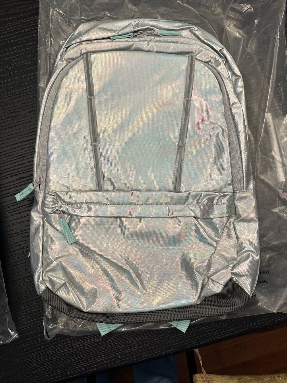 Lands' End Holographic Silver Backpack with Mint Accents